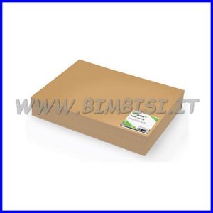 CARTA AVANA ECO FOGLIO CM 100X150 41 FOGLI/5KG