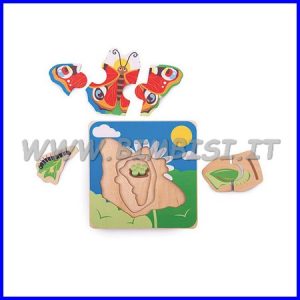 PUZZLE A STRATI CICLO VITALE FARFALLA