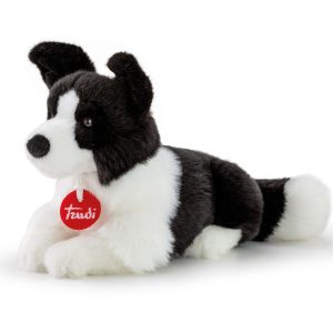Border Collie Scott S