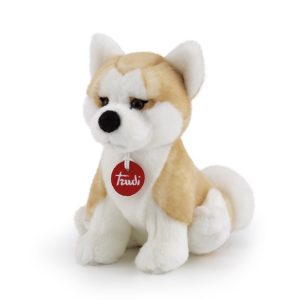 Akita Ascanio S